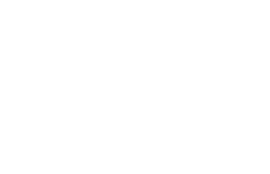 Wise Law Firm